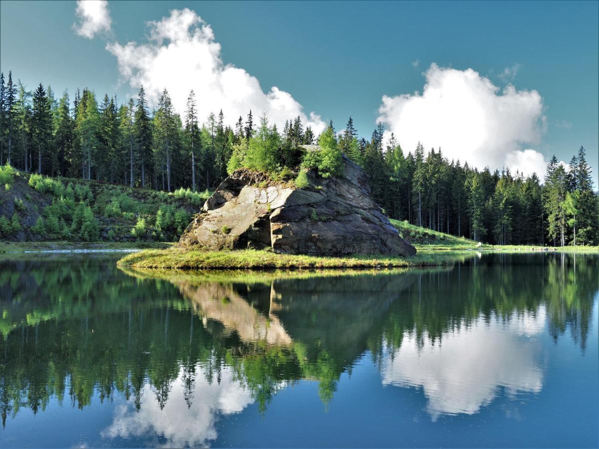 Naturforsthaus Gartenblick Fuer Hunde - Und Naturverbundene Menschen Preitenegg Екстериор снимка