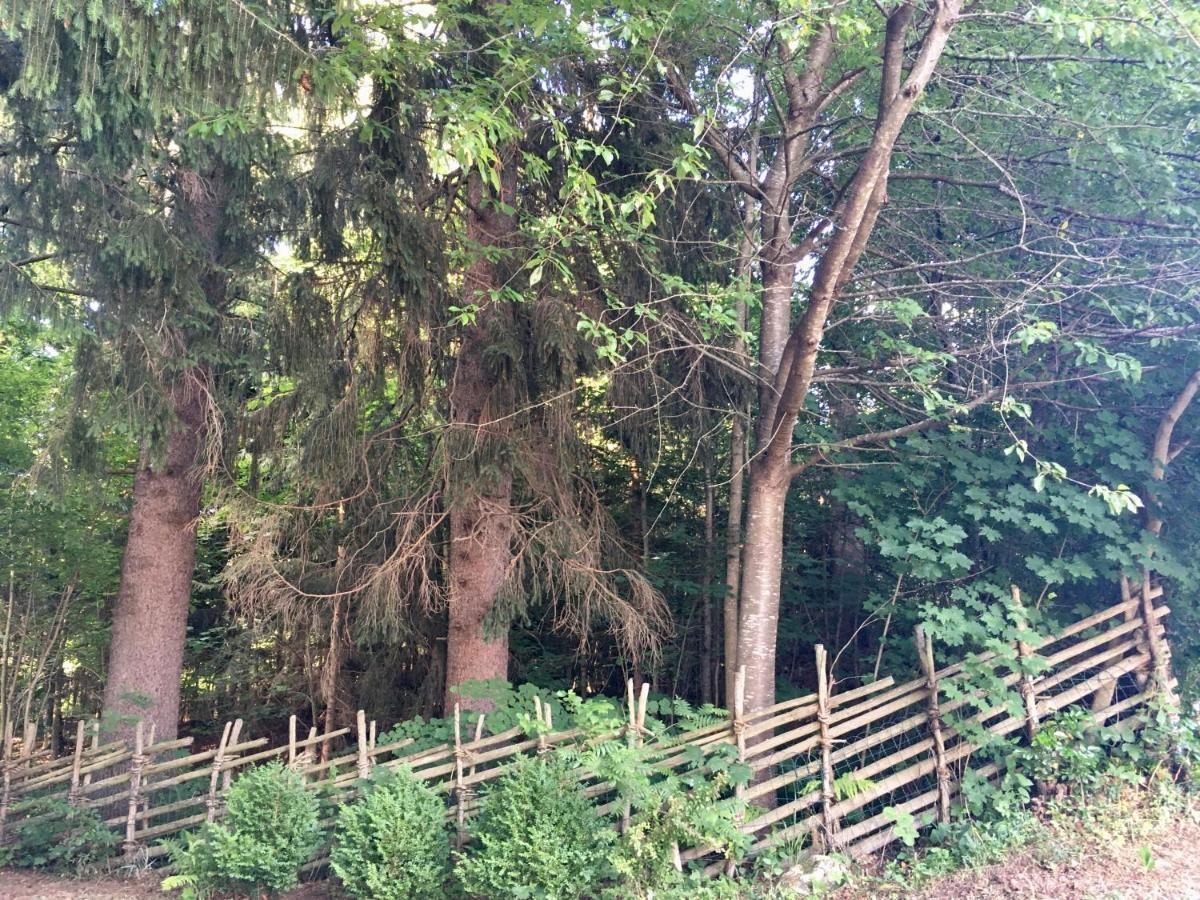 Naturforsthaus Gartenblick Fuer Hunde - Und Naturverbundene Menschen Preitenegg Екстериор снимка