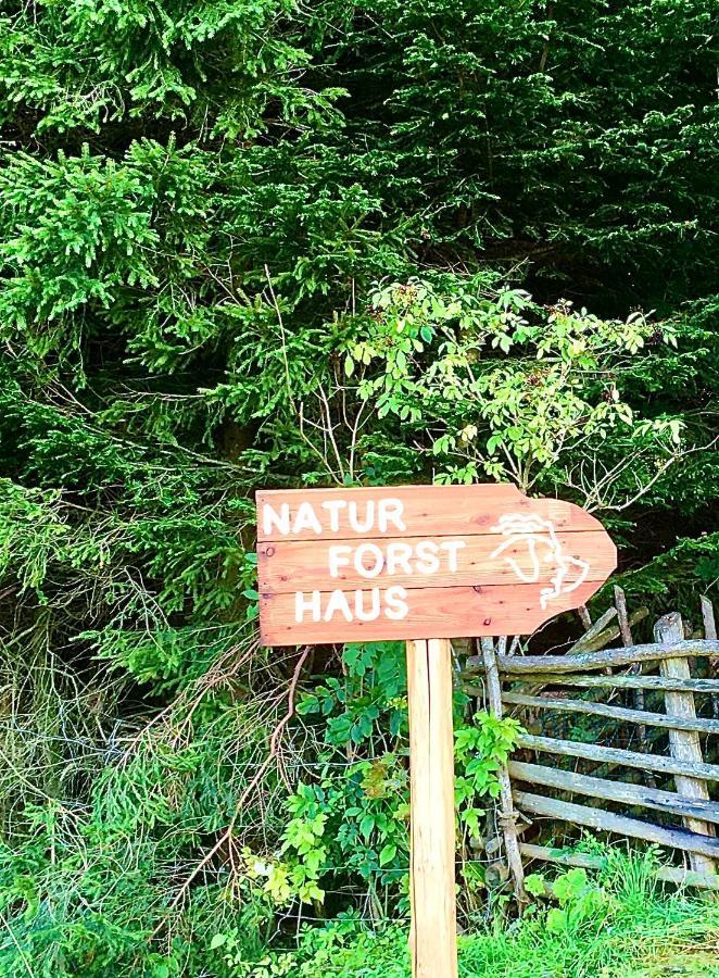 Naturforsthaus Gartenblick Fuer Hunde - Und Naturverbundene Menschen Preitenegg Екстериор снимка