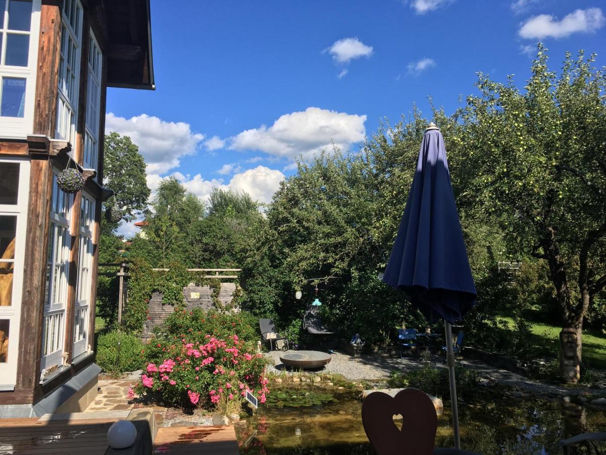 Naturforsthaus Gartenblick Fuer Hunde - Und Naturverbundene Menschen Preitenegg Екстериор снимка
