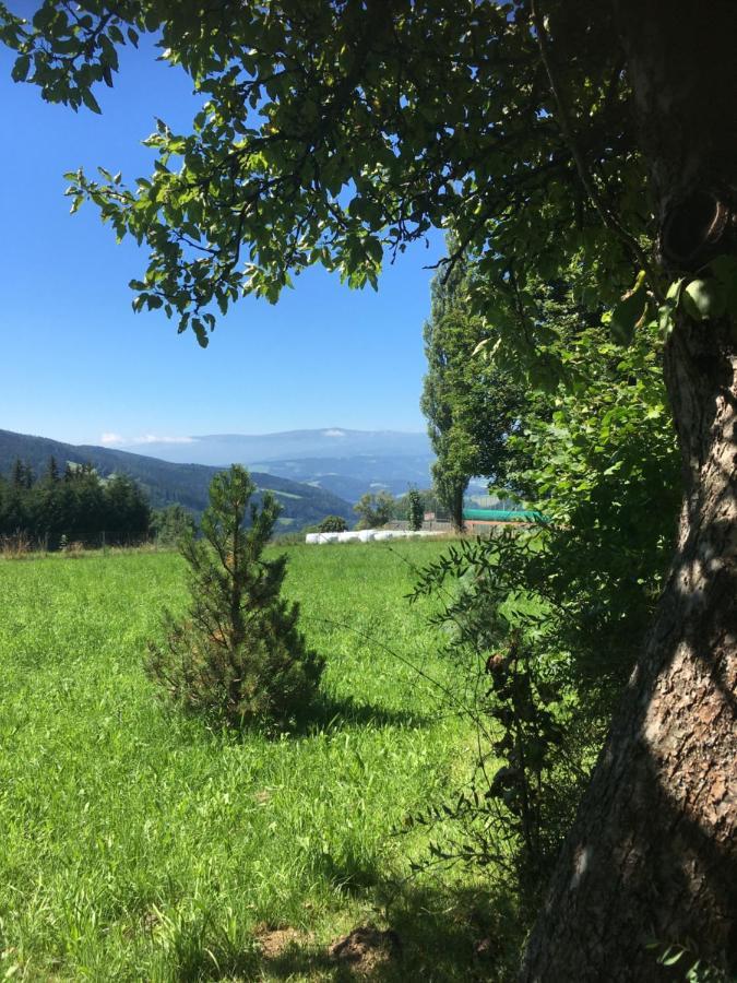 Naturforsthaus Gartenblick Fuer Hunde - Und Naturverbundene Menschen Preitenegg Екстериор снимка
