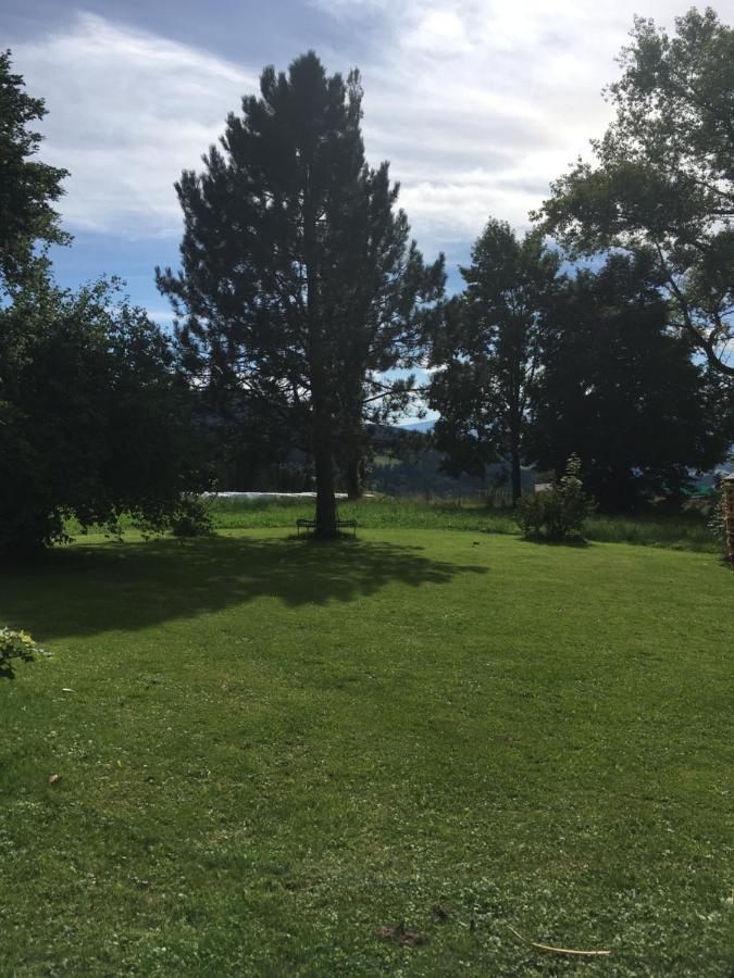 Naturforsthaus Gartenblick Fuer Hunde - Und Naturverbundene Menschen Preitenegg Екстериор снимка