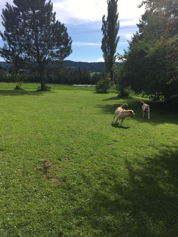 Naturforsthaus Gartenblick Fuer Hunde - Und Naturverbundene Menschen Preitenegg Екстериор снимка