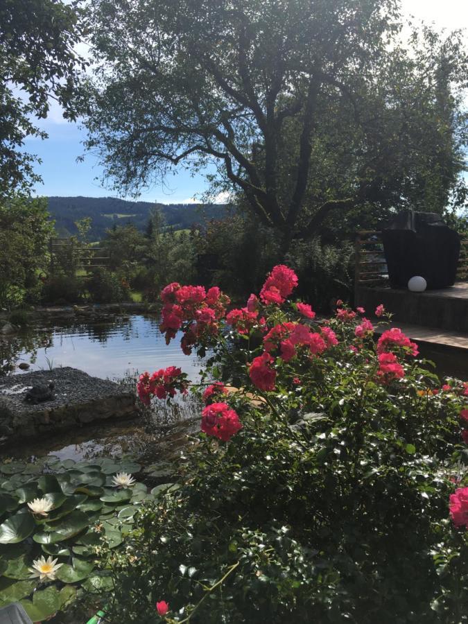 Naturforsthaus Gartenblick Fuer Hunde - Und Naturverbundene Menschen Preitenegg Екстериор снимка