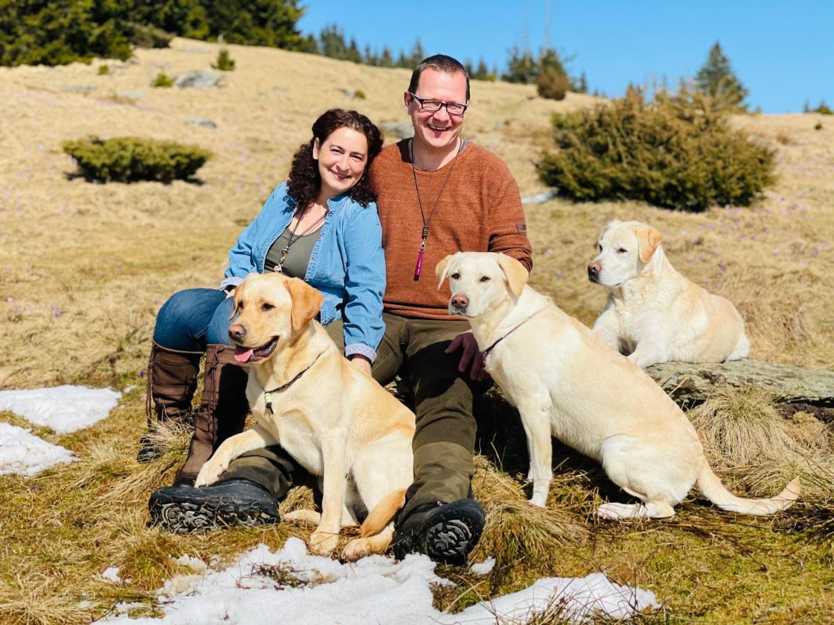 Naturforsthaus Gartenblick Fuer Hunde - Und Naturverbundene Menschen Preitenegg Екстериор снимка